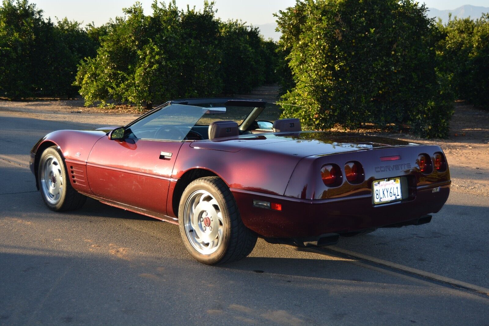 Chevrolet-Corvette-Cabriolet-1993-Burgundy-Burgundy-113716-6