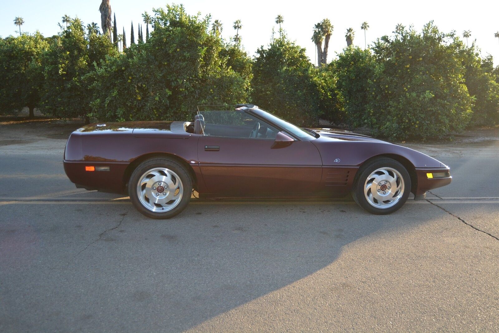 Chevrolet-Corvette-Cabriolet-1993-Burgundy-Burgundy-113716-7