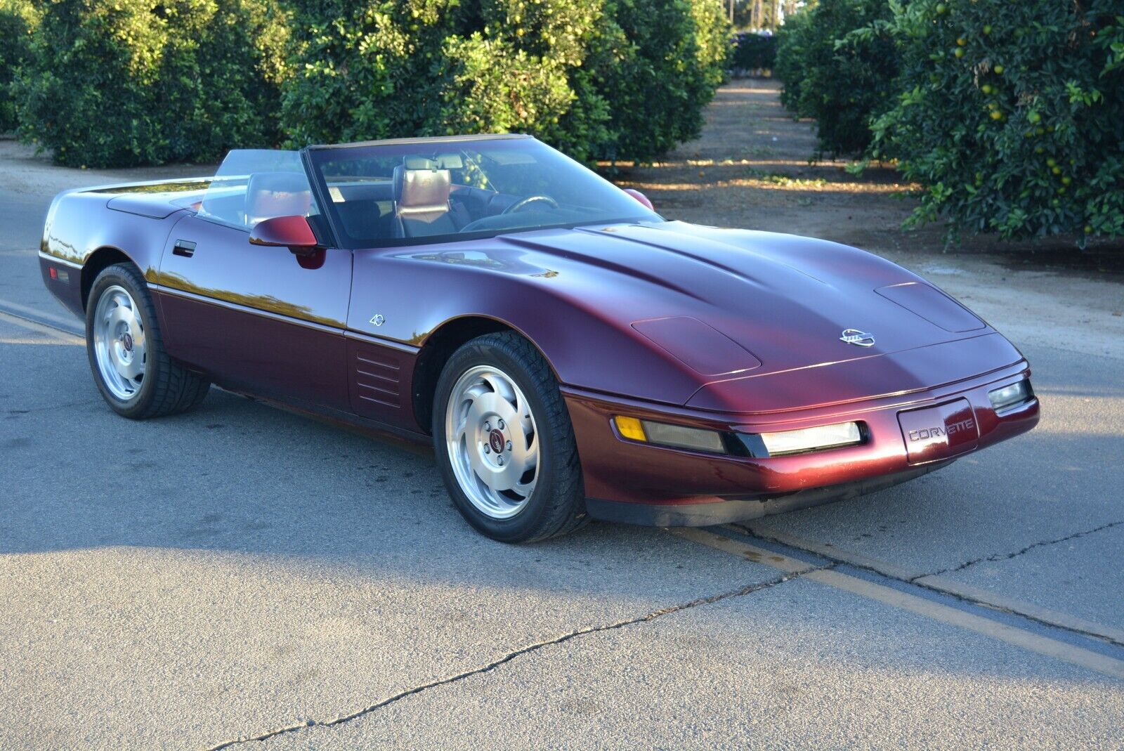 Chevrolet-Corvette-Cabriolet-1993-Burgundy-Burgundy-113716-8