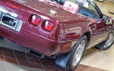 Chevrolet-Corvette-Cabriolet-1993-Red-Red-49066-8