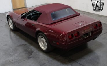 Chevrolet-Corvette-Cabriolet-1993-Red-Red-73074-10