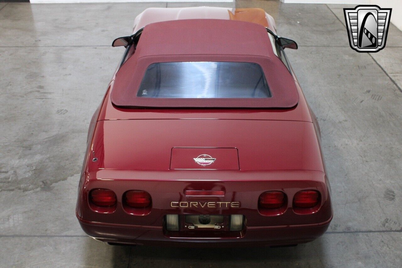 Chevrolet-Corvette-Cabriolet-1993-Red-Red-73074-11