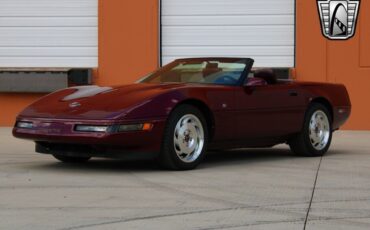 Chevrolet-Corvette-Cabriolet-1993-Red-Red-73074-2