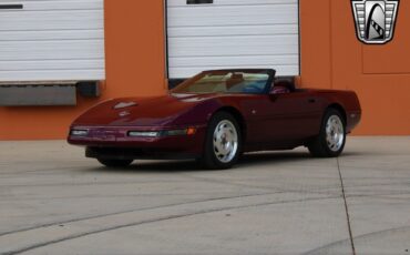 Chevrolet-Corvette-Cabriolet-1993-Red-Red-73074-3