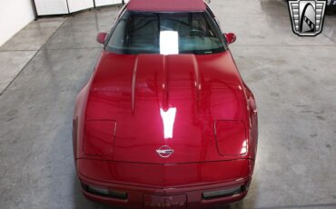 Chevrolet-Corvette-Cabriolet-1993-Red-Red-73074-7