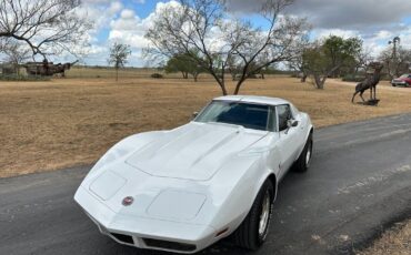 Chevrolet-Corvette-Coupe-1973-White-Dark-Saddle-97715-1