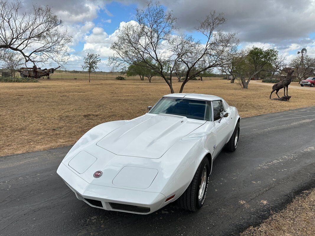 Chevrolet-Corvette-Coupe-1973-White-Dark-Saddle-97715-1