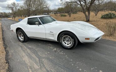 Chevrolet-Corvette-Coupe-1973-White-Dark-Saddle-97715-10