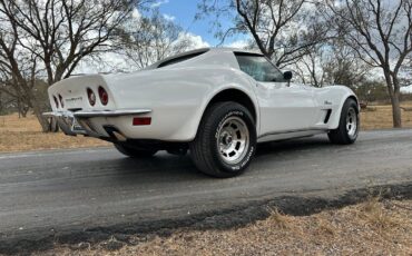 Chevrolet-Corvette-Coupe-1973-White-Dark-Saddle-97715-11