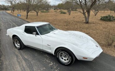 Chevrolet-Corvette-Coupe-1973-White-Dark-Saddle-97715-2