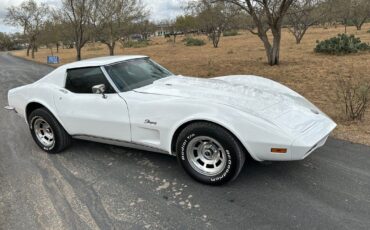 Chevrolet-Corvette-Coupe-1973-White-Dark-Saddle-97715-3