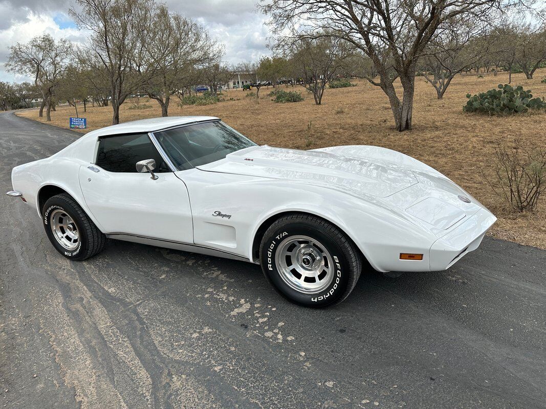 Chevrolet-Corvette-Coupe-1973-White-Dark-Saddle-97715-3