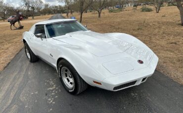 Chevrolet-Corvette-Coupe-1973-White-Dark-Saddle-97715-4