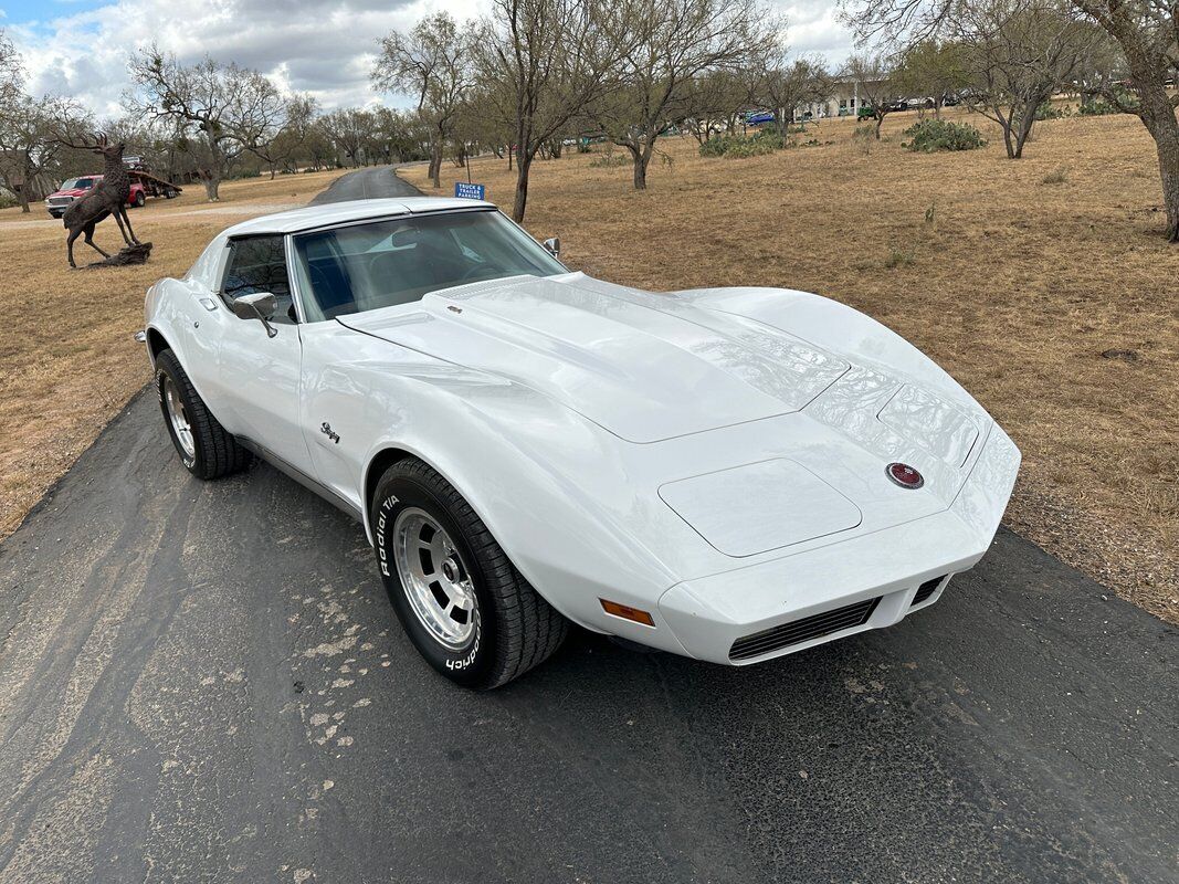 Chevrolet-Corvette-Coupe-1973-White-Dark-Saddle-97715-4