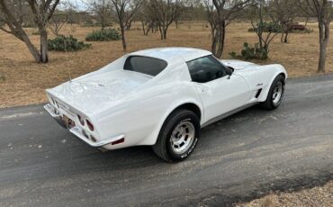 Chevrolet-Corvette-Coupe-1973-White-Dark-Saddle-97715-6