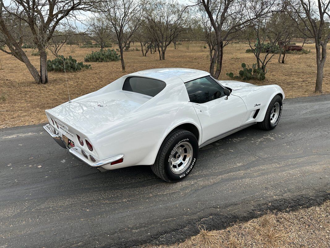 Chevrolet-Corvette-Coupe-1973-White-Dark-Saddle-97715-6