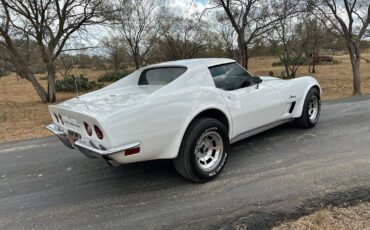 Chevrolet-Corvette-Coupe-1973-White-Dark-Saddle-97715-7