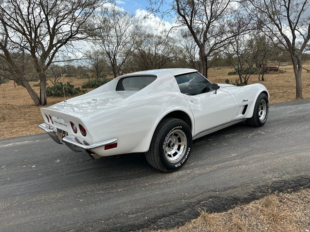 Chevrolet-Corvette-Coupe-1973-White-Dark-Saddle-97715-7