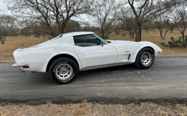 Chevrolet-Corvette-Coupe-1973-White-Dark-Saddle-97715-8