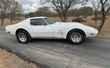 Chevrolet-Corvette-Coupe-1973-White-Dark-Saddle-97715-9