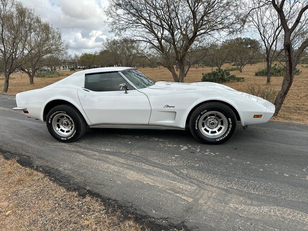 Chevrolet-Corvette-Coupe-1973-White-Dark-Saddle-97715-9