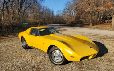 Chevrolet-Corvette-Coupe-1973-Yellow-Black-83686-11