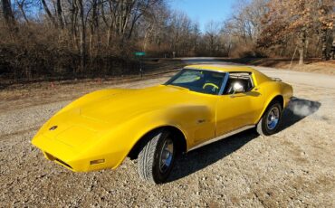 Chevrolet-Corvette-Coupe-1973-Yellow-Black-83686-16