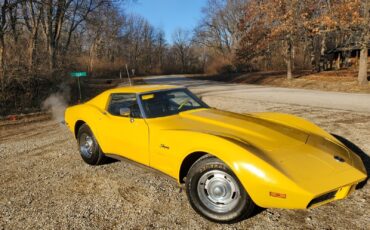 Chevrolet-Corvette-Coupe-1973-Yellow-Black-83686-17