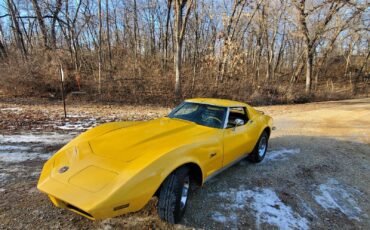 Chevrolet-Corvette-Coupe-1973-Yellow-Black-83686-2