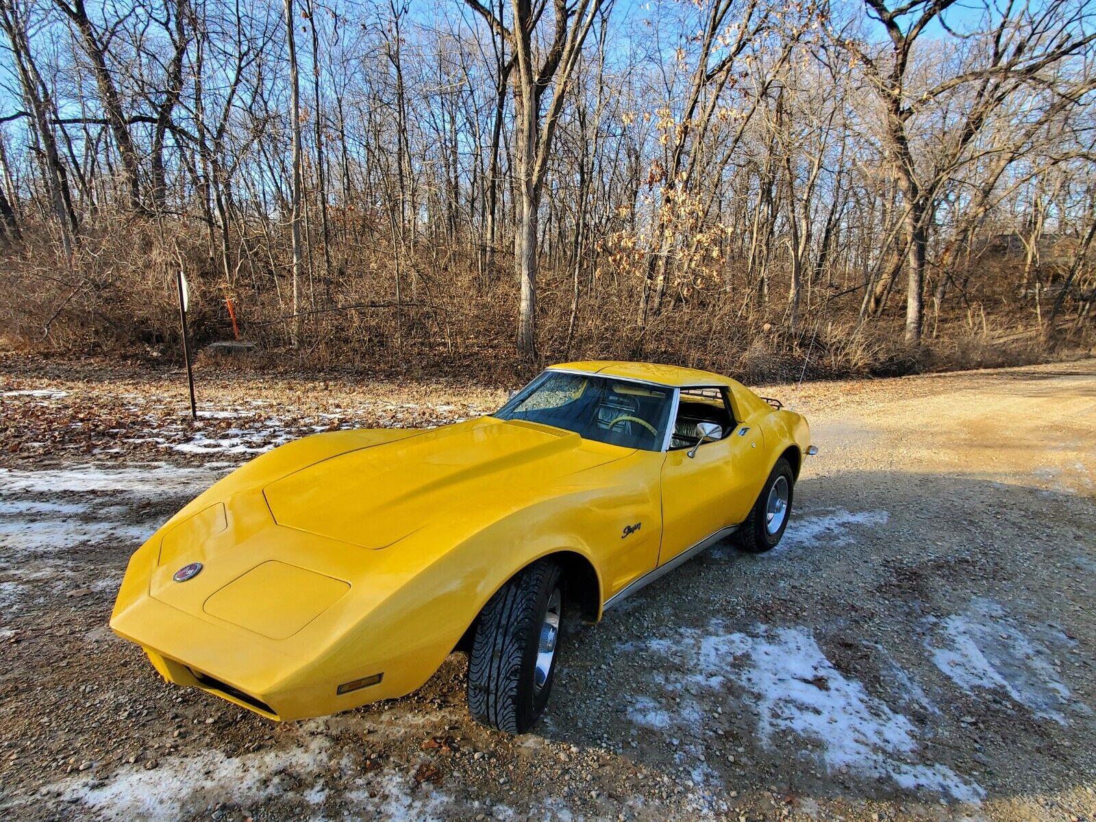 Chevrolet-Corvette-Coupe-1973-Yellow-Black-83686-2