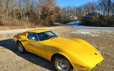 Chevrolet-Corvette-Coupe-1973-Yellow-Black-83686-20