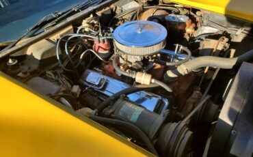 Chevrolet-Corvette-Coupe-1973-Yellow-Black-83686-28