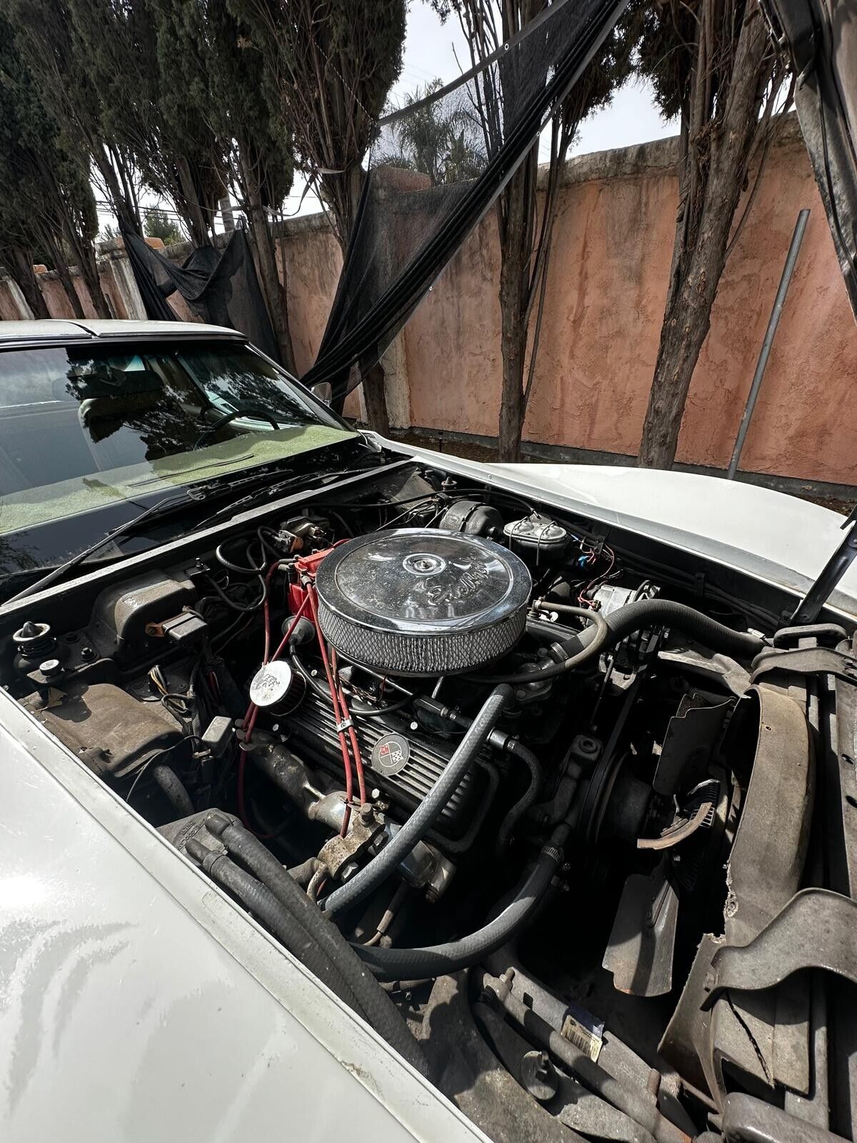 Chevrolet-Corvette-Coupe-1974-White-Tan-161095-4