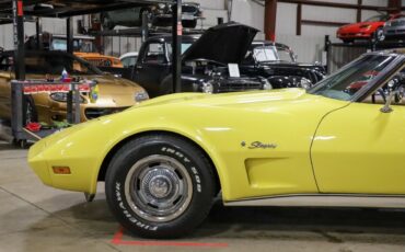 Chevrolet-Corvette-Coupe-1974-Yellow-Tan-113864-2