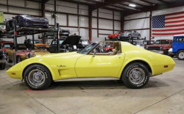 Chevrolet-Corvette-Coupe-1974-Yellow-Tan-113864-3