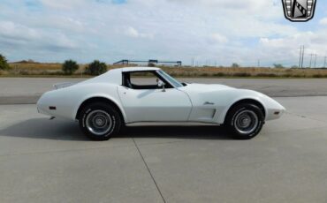 Chevrolet-Corvette-Coupe-1975-White-Black-99039-3