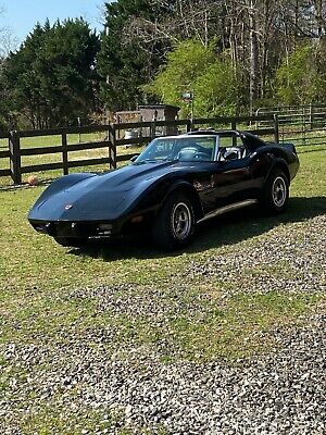 Chevrolet-Corvette-Coupe-1976-Black-125529-1