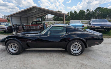 Chevrolet-Corvette-Coupe-1976-Black-Tan-185635-1