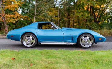 Chevrolet-Corvette-Coupe-1976-Blue-Black-107118-6