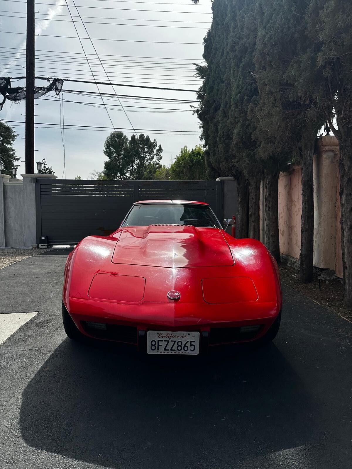 Chevrolet-Corvette-Coupe-1976-Red-Red-65983-1