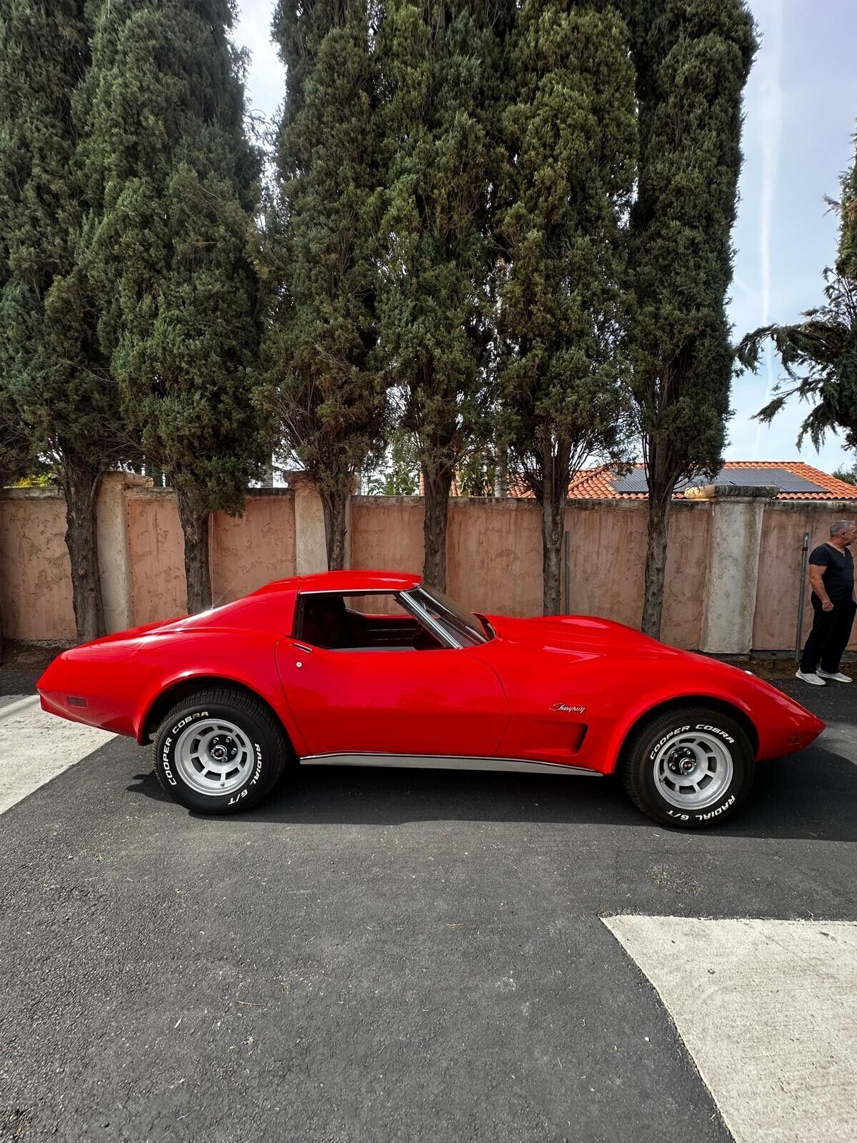 Chevrolet-Corvette-Coupe-1976-Red-Red-65983-2