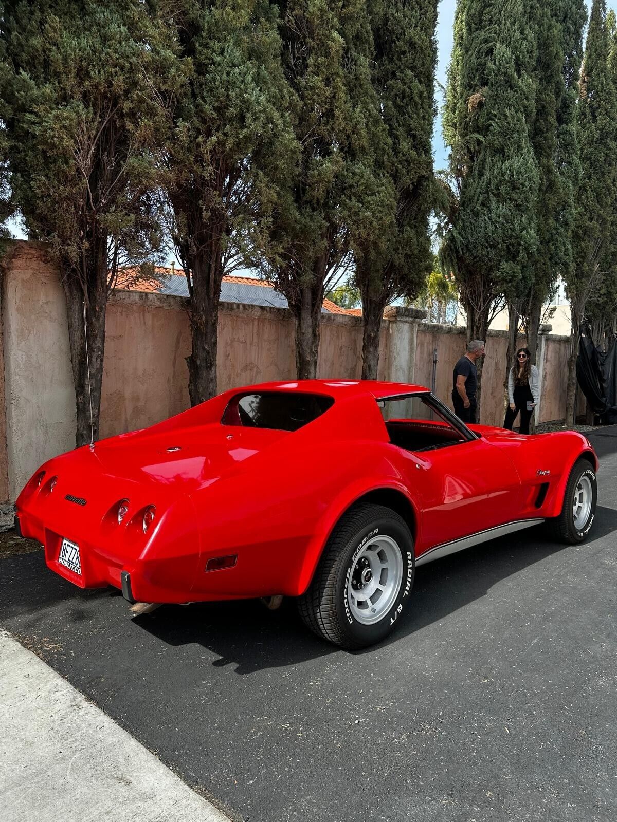 Chevrolet-Corvette-Coupe-1976-Red-Red-65983-3