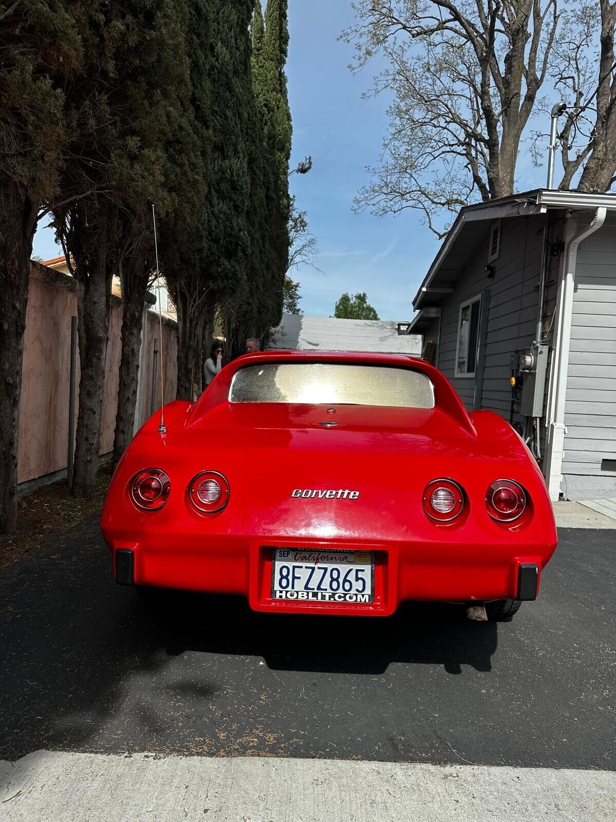 Chevrolet-Corvette-Coupe-1976-Red-Red-65983-4