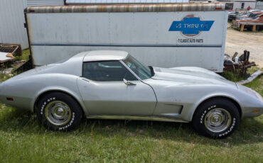 Chevrolet-Corvette-Coupe-1976-Silver-Black-205306-3