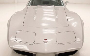 Chevrolet-Corvette-Coupe-1976-Silver-Gray-107065-7