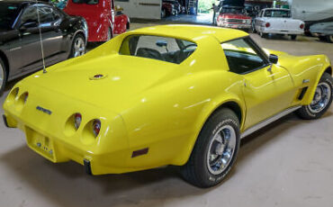 Chevrolet-Corvette-Coupe-1976-Yellow-Black-49130-10