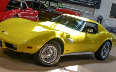 Chevrolet-Corvette-Coupe-1976-Yellow-Black-49130-4