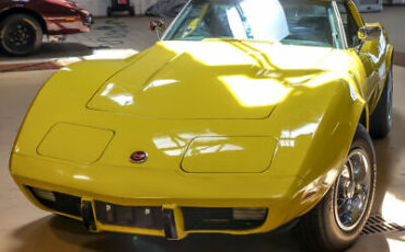 Chevrolet-Corvette-Coupe-1976-Yellow-Black-49130-5