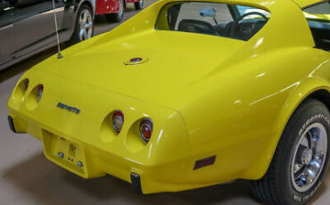 Chevrolet-Corvette-Coupe-1976-Yellow-Black-49130-9