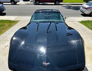 Chevrolet-Corvette-Coupe-1977-Black-White-43003-1